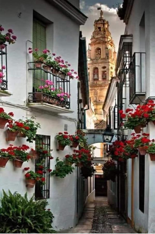 Apto Con Patio Y Barbacoa Bbq H De La Reina Córdoba Exterior foto